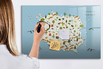 Magnetic dry erase board Polish animal map