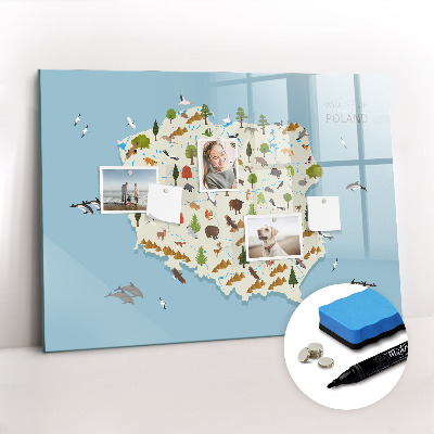 Magnetic dry erase board Polish animal map