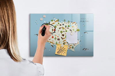 Magnetic drawing board Polish animal map