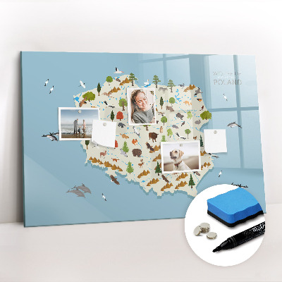 Magnetic dry erase board Polish animal map