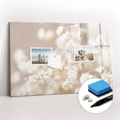 Dry erase magnetic board Family tree