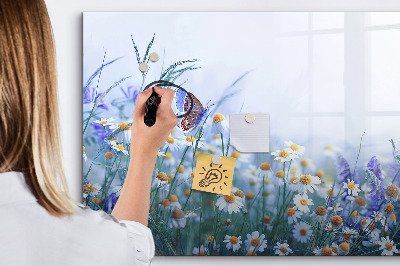 Magnetic board for drawing Butterfly in the meadow