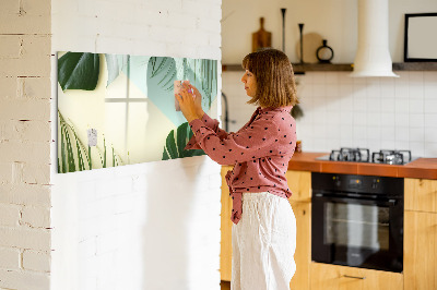 Magnetic board for drawing Monstera leaves