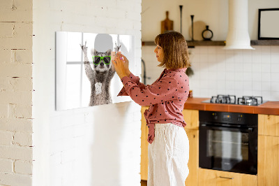 Dry erase magnetic board Raccoon with glasses