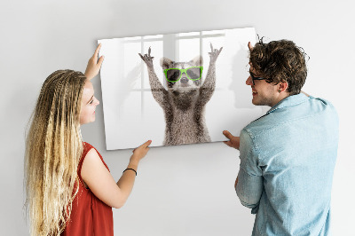 Dry erase magnetic board Raccoon with glasses