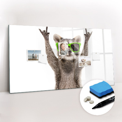 Dry erase magnetic board Raccoon with glasses