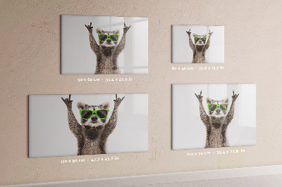 Dry erase magnetic board Raccoon with glasses