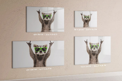 Magnetic board for drawing Raccoon with glasses