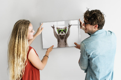 Dry erase magnetic board Raccoon with glasses