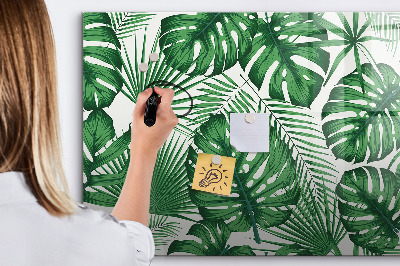 Magnetic drawing board Monstera leaves