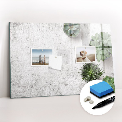 Magnetic dry erase board Decorative plants