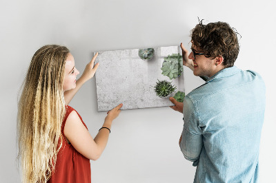 Magnetic dry erase board Decorative plants