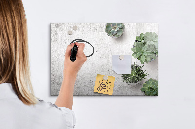 Magnetic dry erase board Decorative plants
