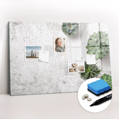 Magnetic dry erase board Decorative plants