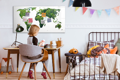Dry erase magnetic board World Map Ecology