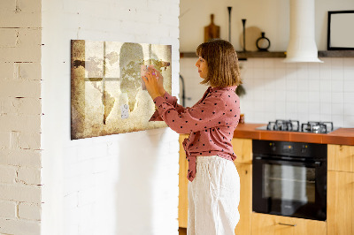 Magnetic board for writing Old World Map