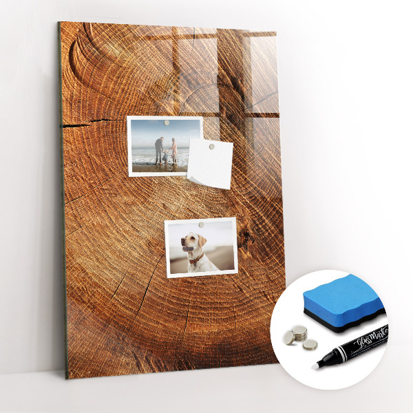 Magnetic erase board Stump Cross Section