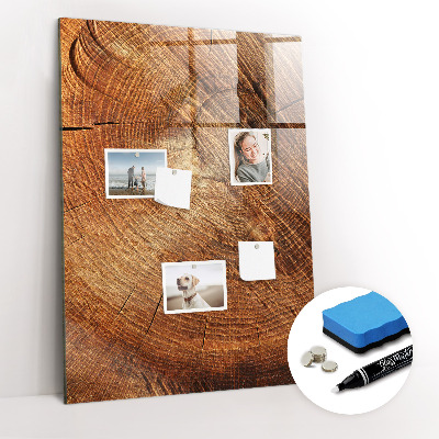 Magnetic erase board Stump Cross Section