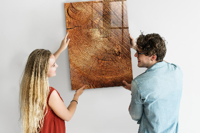 Magnetic erase board Stump Cross Section
