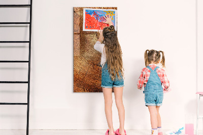 Magnetic Board for Children Stump Cross Section