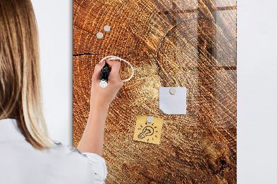 Magnetic erase board Stump Cross Section