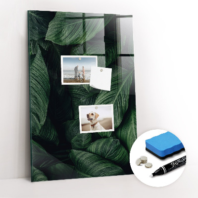 Magnetic writing board Jungle Leaves Plants