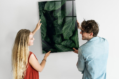Magnetic writing board Jungle Leaves Plants