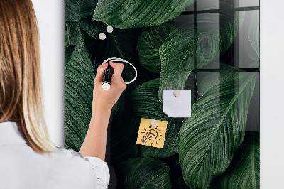 Magnetic writing board Jungle Leaves Plants
