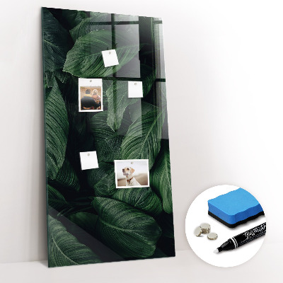 Magnetic writing board Jungle Leaves Plants