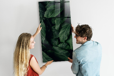 Magnetic writing board Jungle Leaves Plants