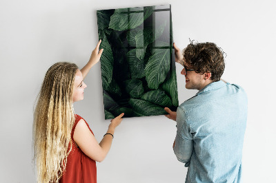Magnetic writing board Jungle Leaves Plants