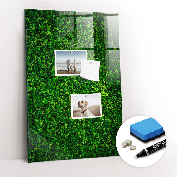 Magnetic erase board Fence Leaves Plants