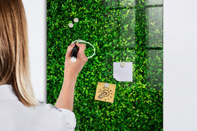 Magnetic erase board Fence Leaves Plants