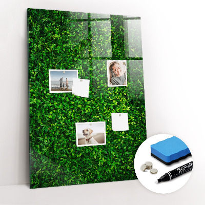 Magnetic erase board Fence Leaves Plants