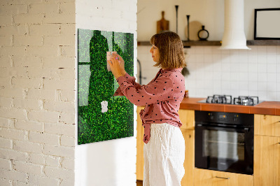 Magnetic Dry Erase Board Fence Leaves Plants