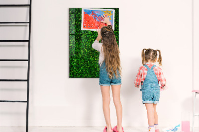 Magnetic erase board Fence Leaves Plants