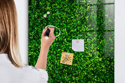 Magnetic erase board Fence Leaves Plants