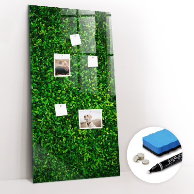 Magnetic erase board Fence Leaves Plants