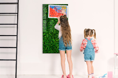 Magnetic erase board Fence Leaves Plants