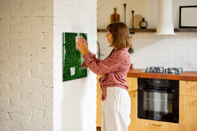Magnetic erase board Fence Leaves Plants
