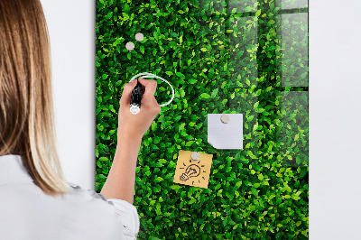 Magnetic erase board Fence Leaves Plants