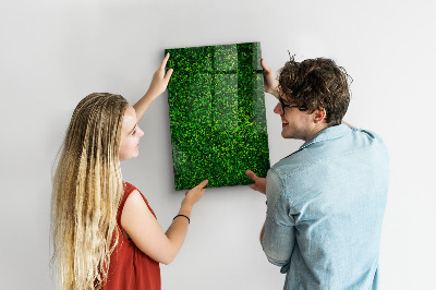 Magnetic erase board Fence Leaves Plants