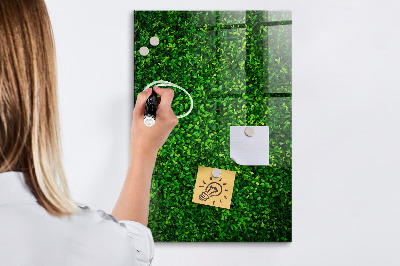 Magnetic erase board Fence Leaves Plants