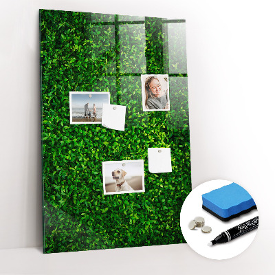 Magnetic erase board Fence Leaves Plants
