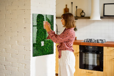 Magnetic erase board Fence Leaves Plants