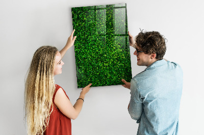 Magnetic erase board Fence Leaves Plants
