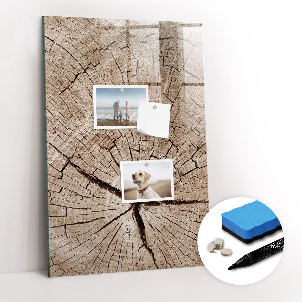 Dry erase board magnetic Tree cross section