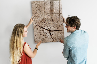 Magnetic board with marker Tree cross section