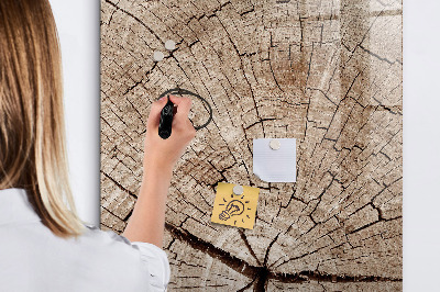 Magnetic board with marker Tree cross section