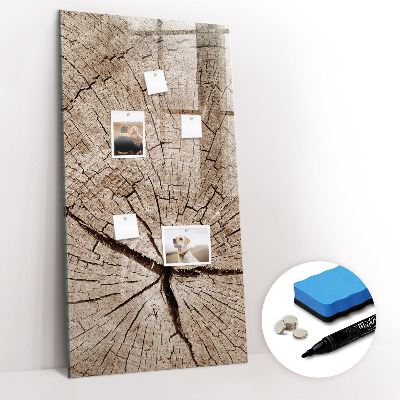 Dry erase board magnetic Tree cross section
